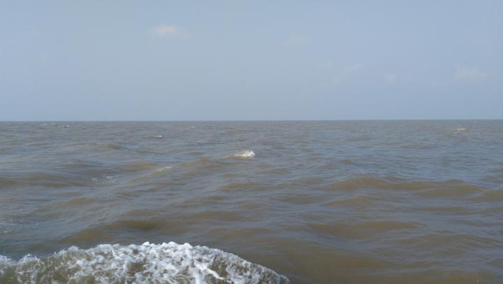 Ư�����ȥ����